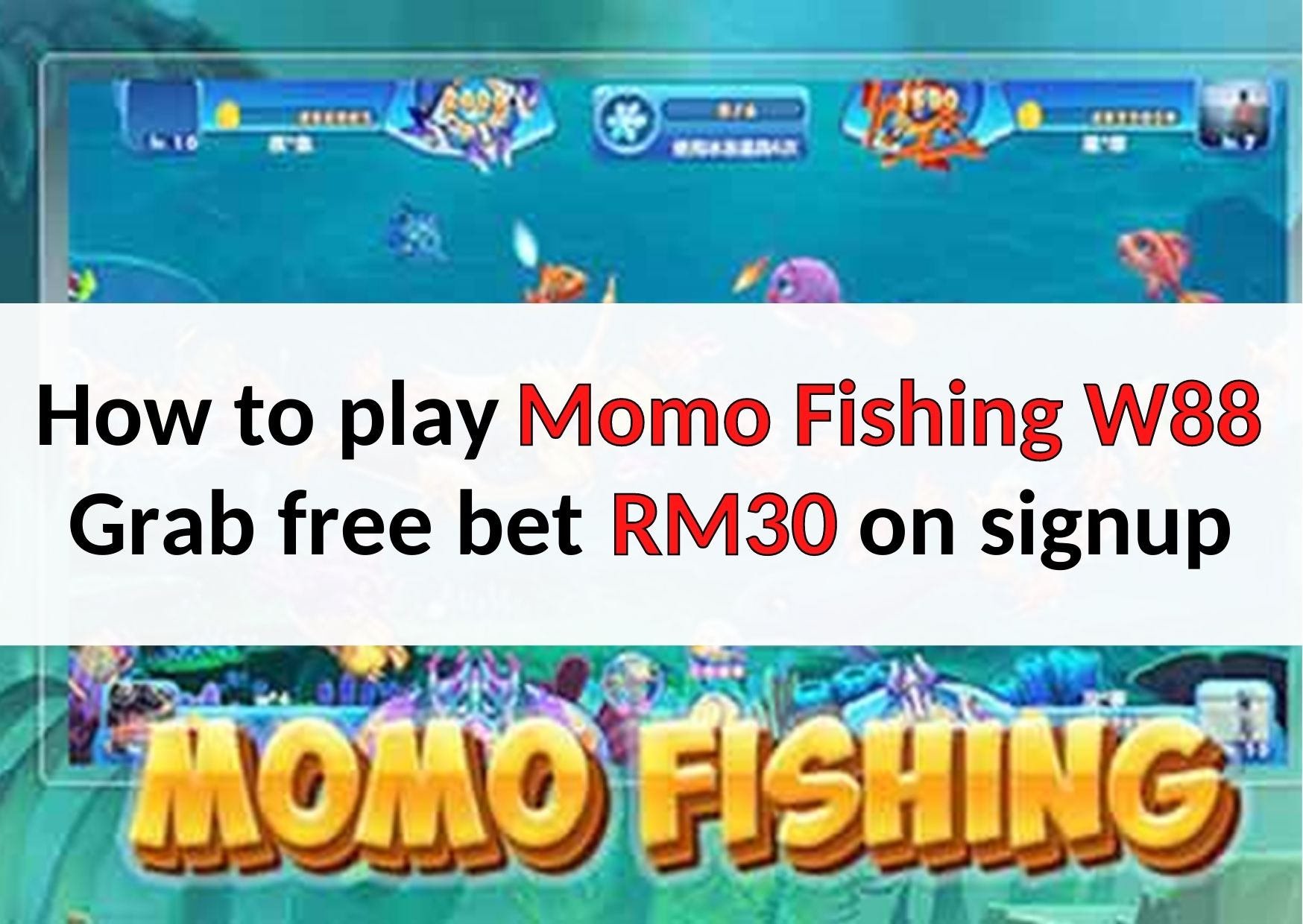 Momo Fishing W88-00