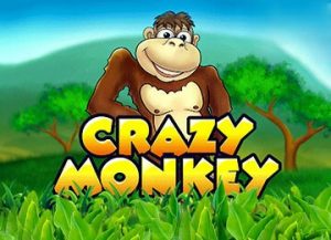 crazy-monkey-slots-01