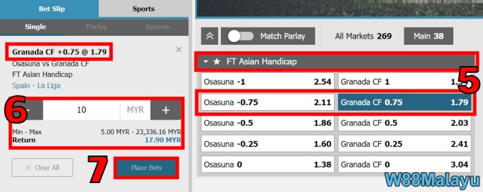 asian handicap 0.5 0.1 explained with w88malayu bet guide step 3