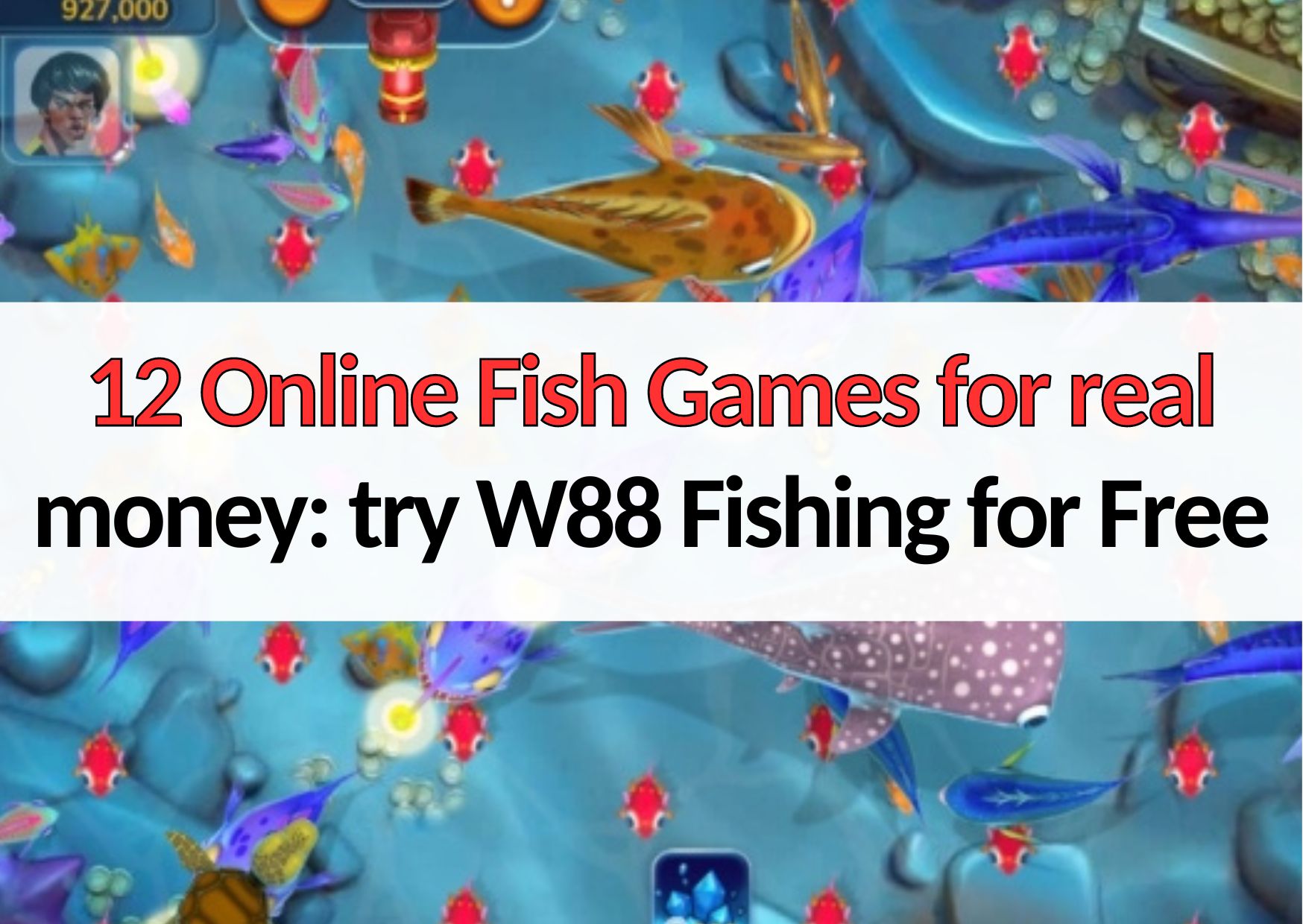 12 online fish games for real money wins and free demo rooms