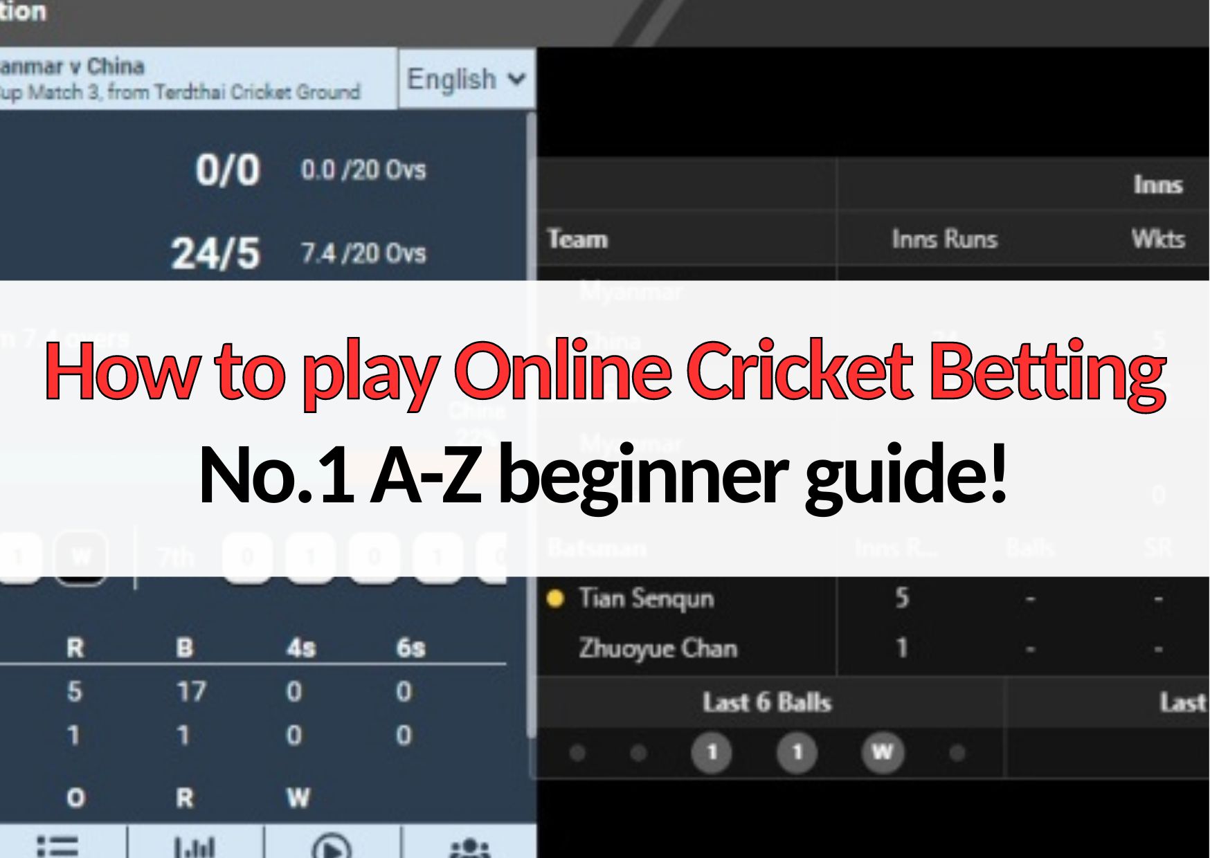 how to play online cricket betting beginner guide