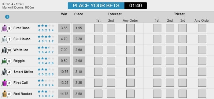 horse racing virtual game tutorial guide at w88 with betting options explained