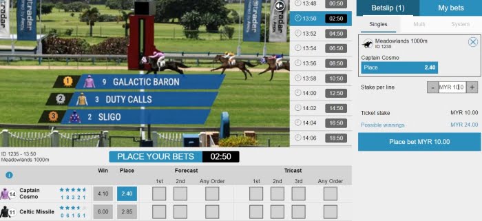 online horse racing tips and tricks for beginners